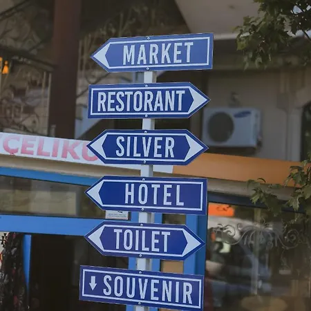 Hotel Celiku *